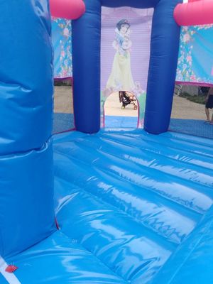 Pink Princess Girl Inflatable Bounce House Combo Double Stitching 4Mx 4M X 4M