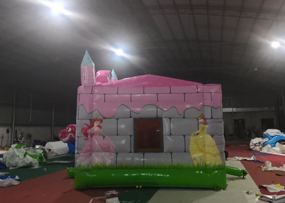 Pink Dinosaur Girl Blow Up Houses For Birthday Parties / Jumping Castle House