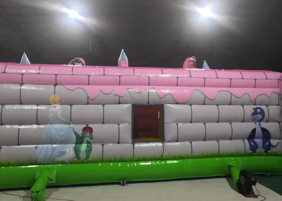 Pink Dragon Kids Inflatable Bounce House / Backyard Jump Houses For  Children