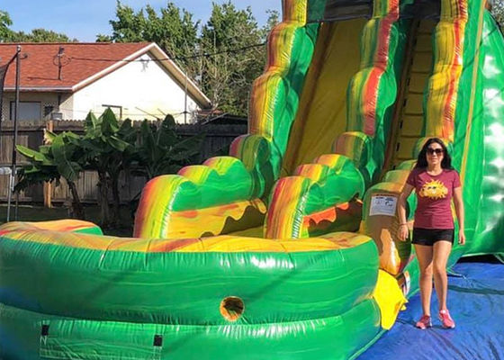 Professional Giant Inflatable Slide For Inground Swimming Pools Oem Service