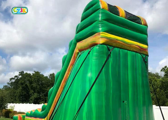 Professional Giant Inflatable Slide For Inground Swimming Pools Oem Service